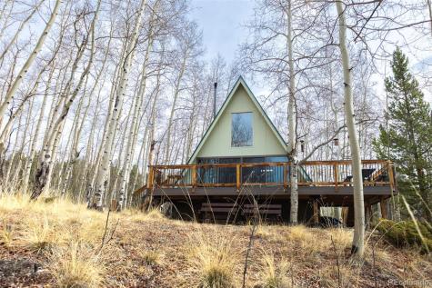 206 Empire Circle Leadville CO 80461