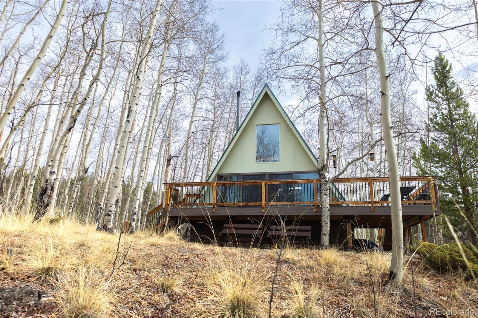 206 Empire Circle Leadville CO 80461