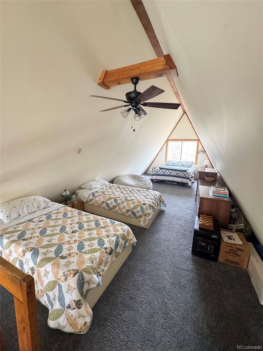 206 Empire Circle Leadville CO 80461