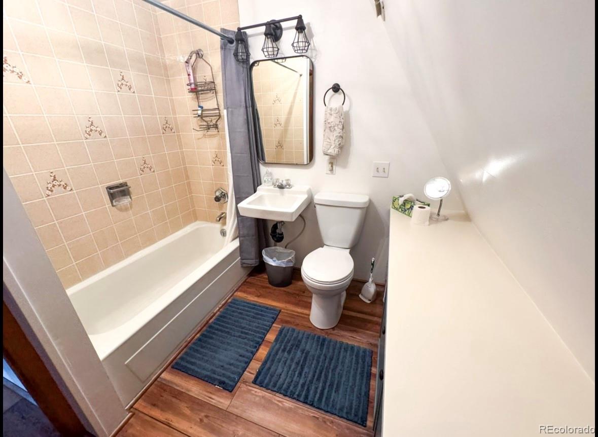 206 Empire Circle Leadville CO 80461