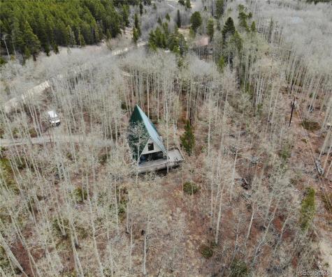 206 Empire Circle Leadville CO 80461