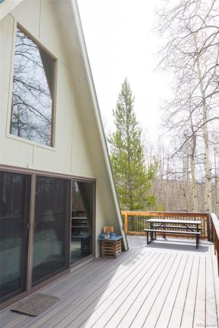 206 Empire Circle Leadville CO 80461