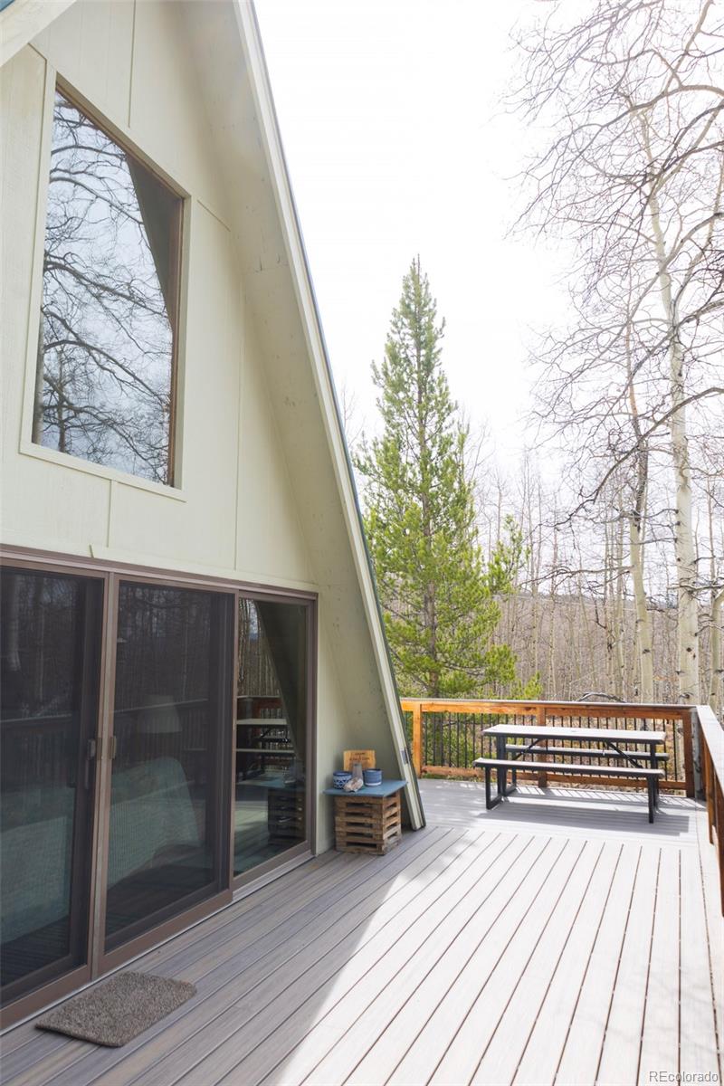 206 Empire Circle Leadville CO 80461