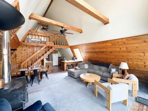 206 Empire Circle Leadville CO 80461