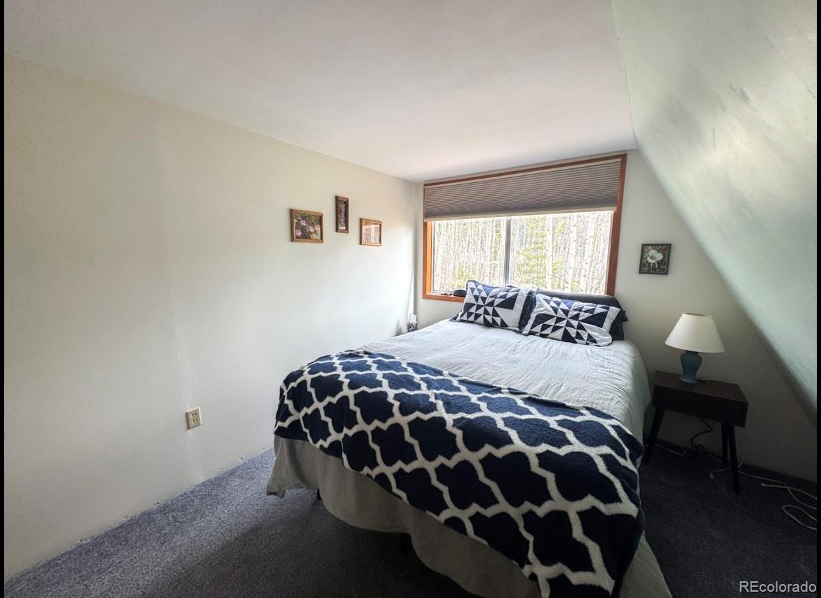 206 Empire Circle Leadville CO 80461