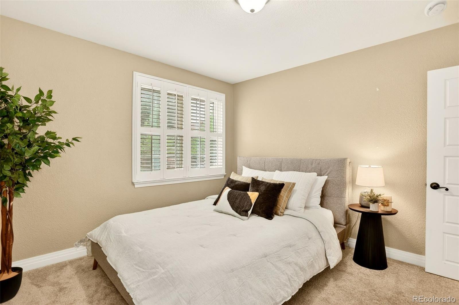2955 Ash Street Denver CO 80207