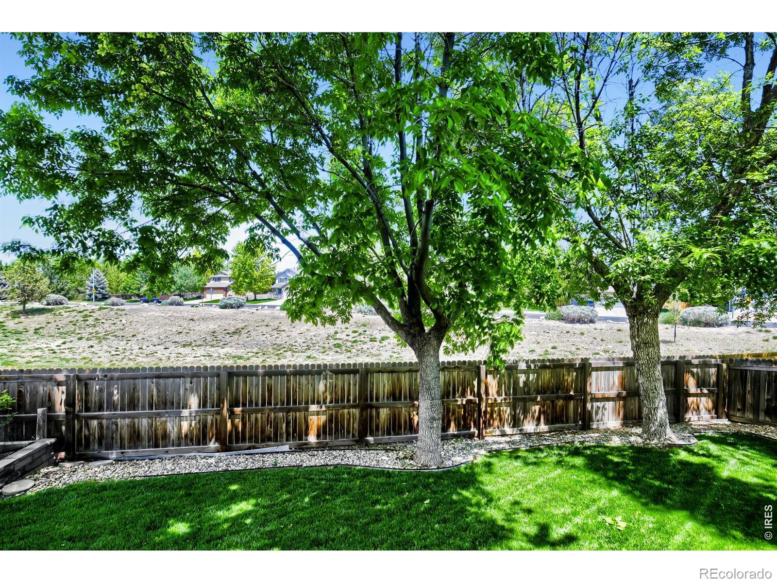 1512 Willowbrook Drive Longmont CO 80504