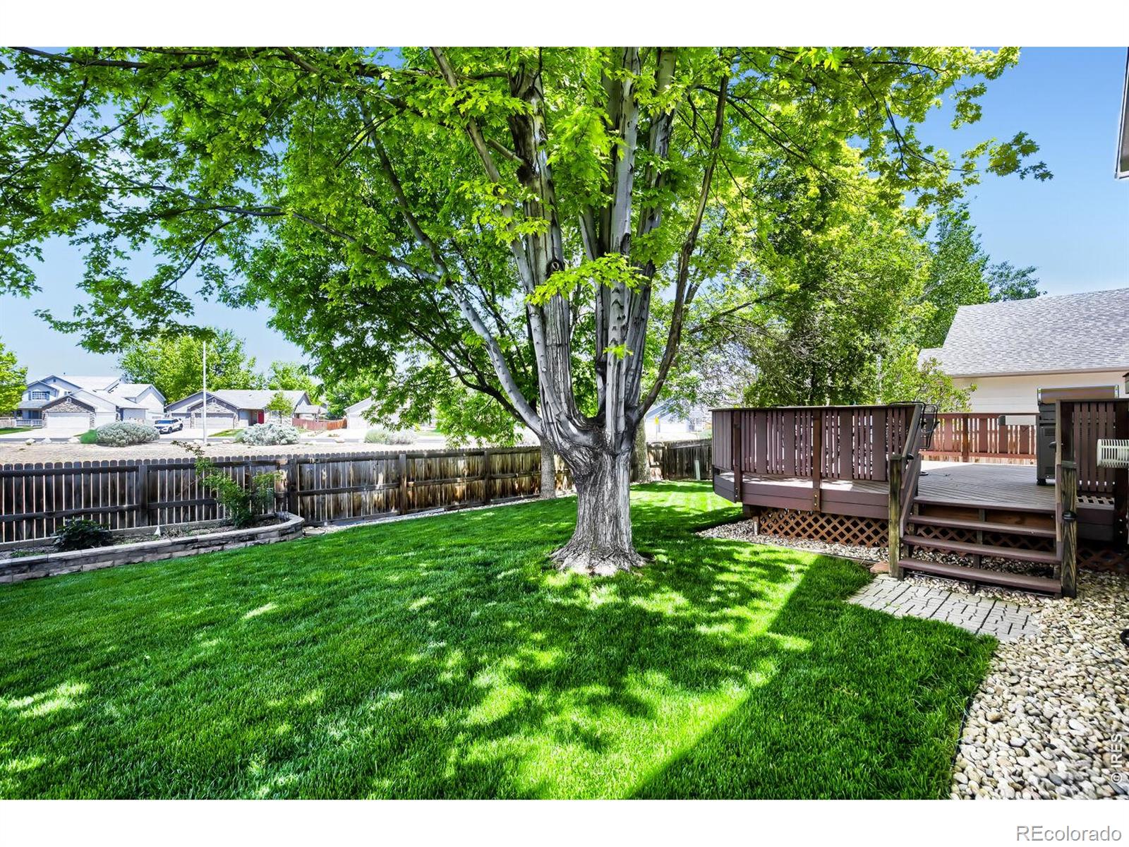 1512 Willowbrook Drive Longmont CO 80504