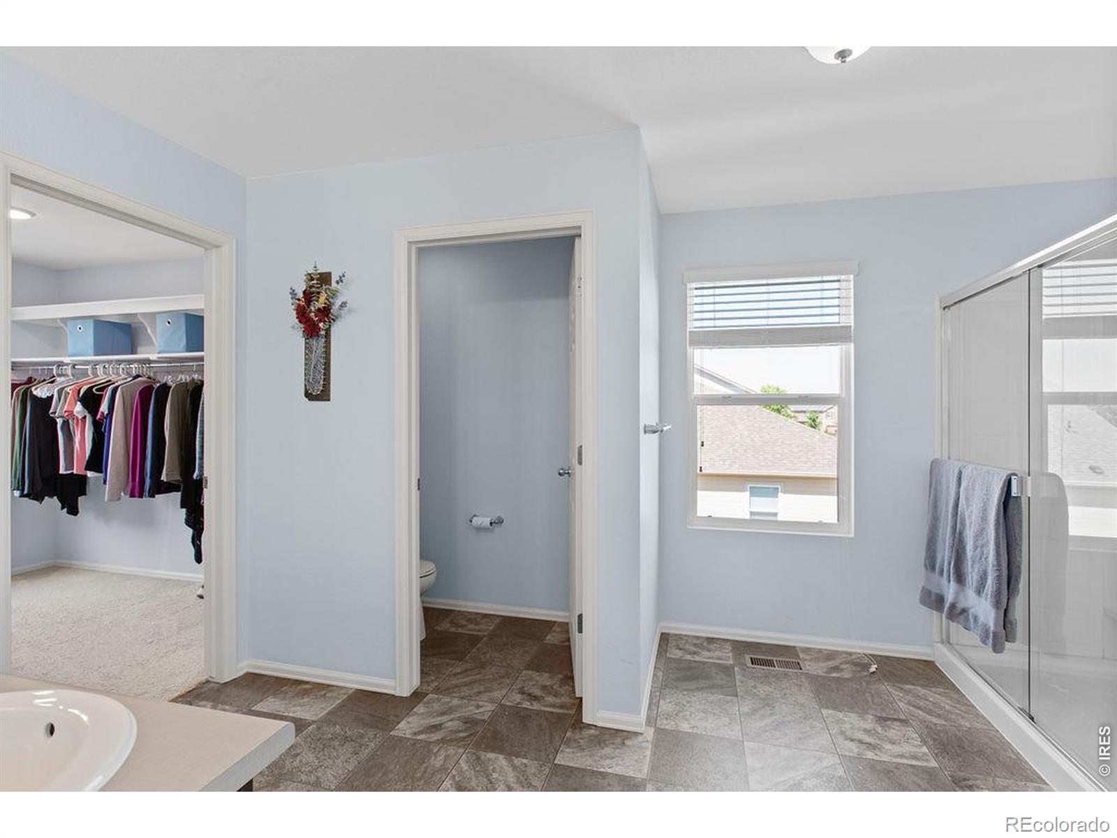 6792 Covenant Court Timnath CO 80547