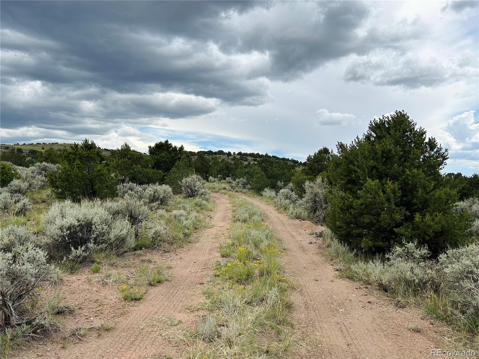 4535 Sarnoff Road Fort Garland CO 81133