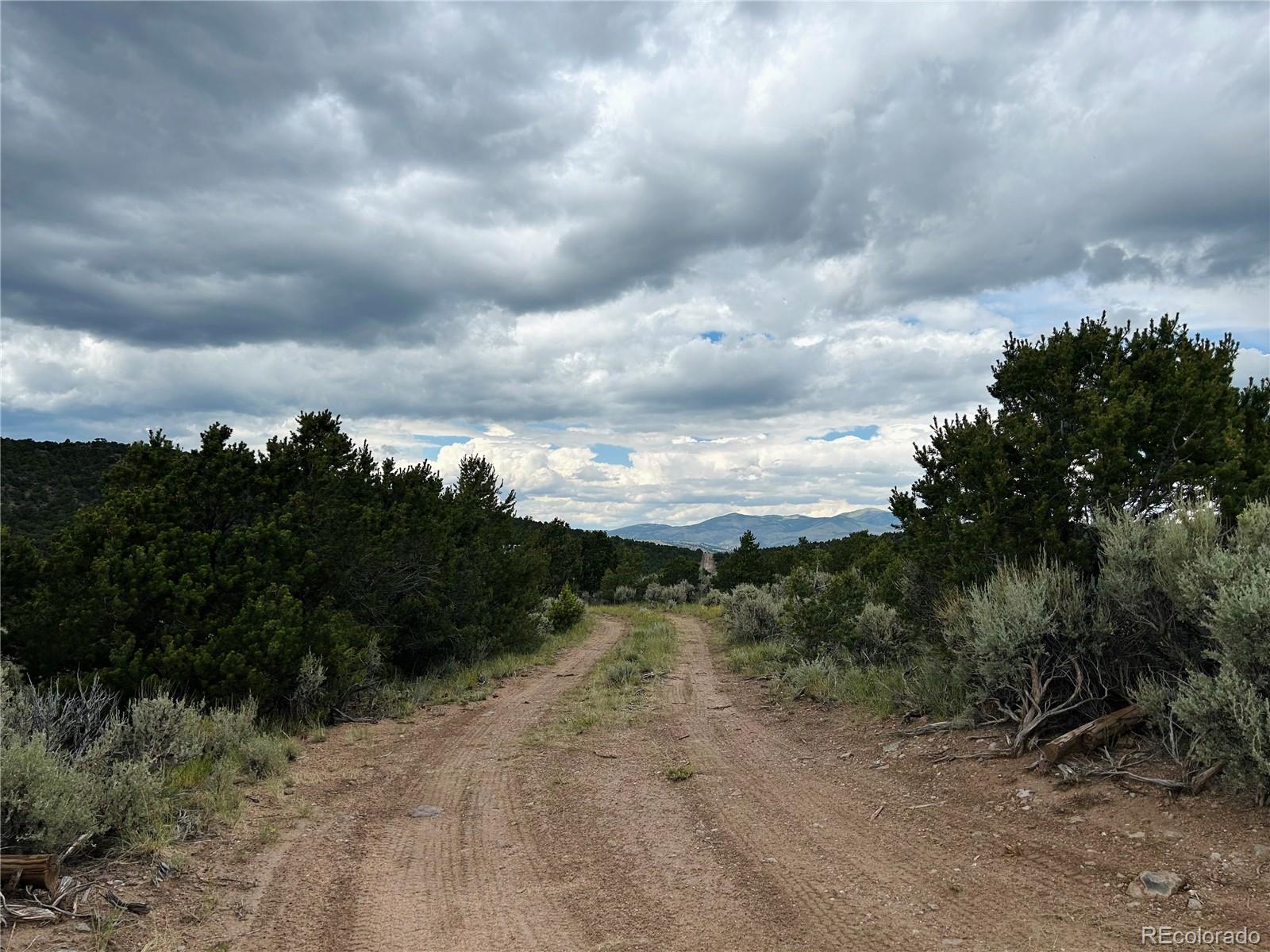 4535 Sarnoff Road Fort Garland CO 81133