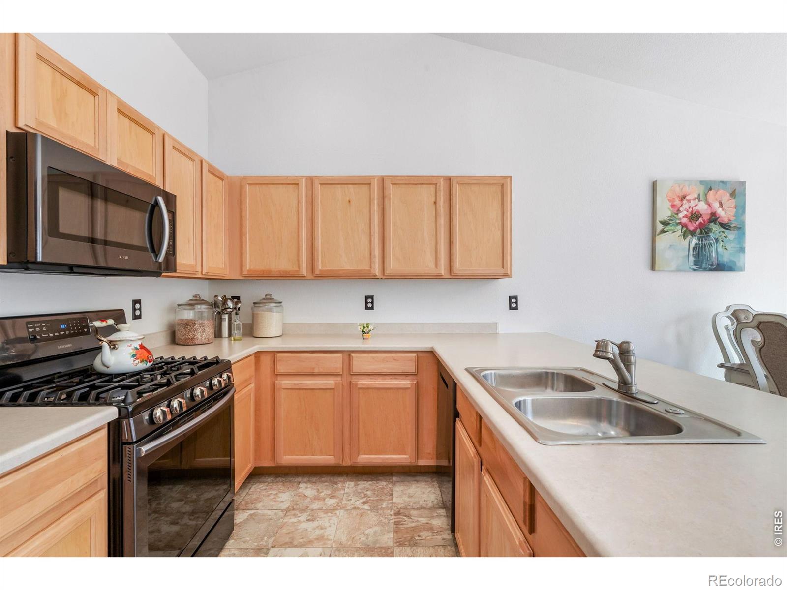 259 Castle Drive Severance CO 80550