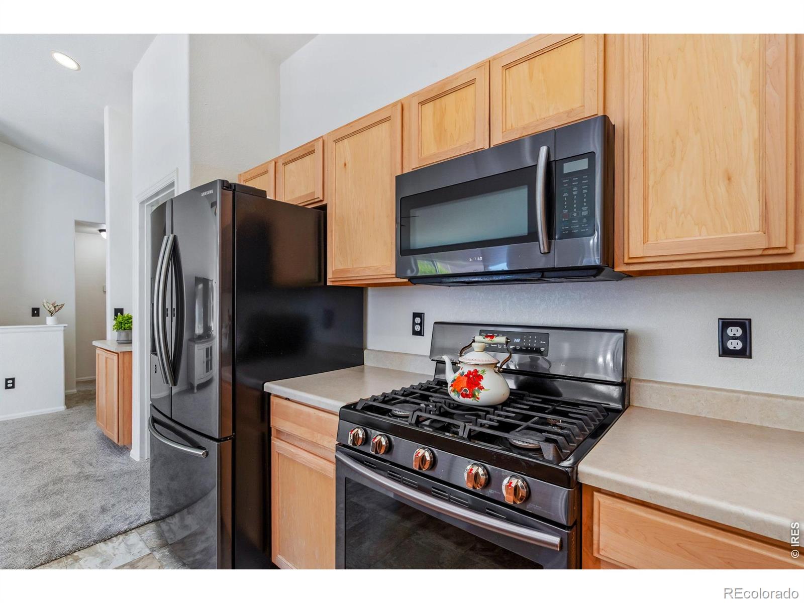 259 Castle Drive Severance CO 80550