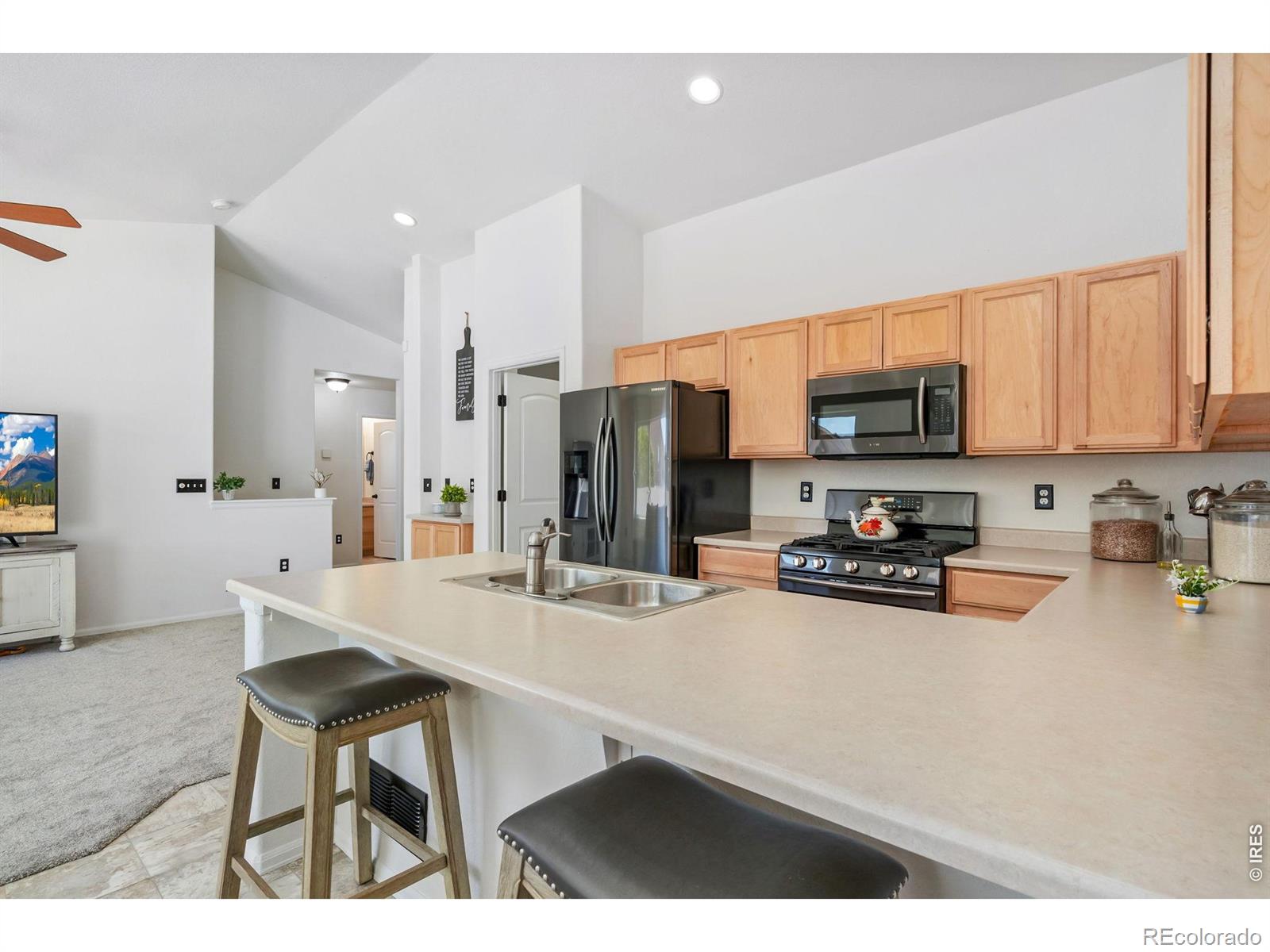 259 Castle Drive Severance CO 80550