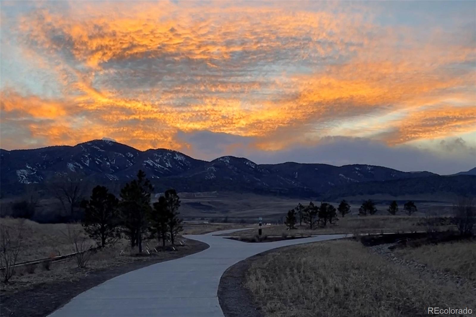 9217 Cloud Shadow Lane Littleton CO 80125