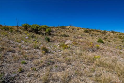 171 Sunset Trail Cotopaxi CO 81223