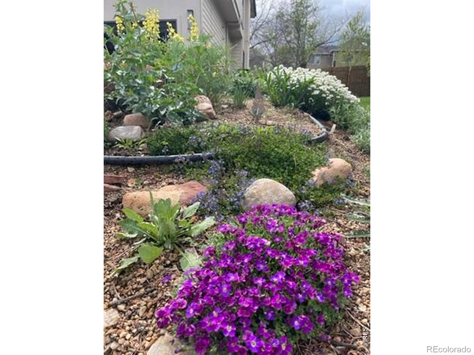 1111 Utica Circle Boulder CO 80304