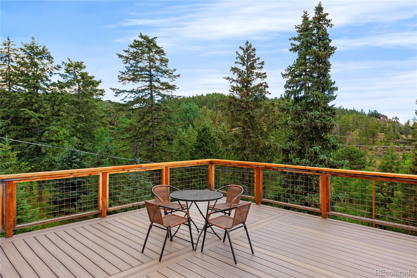 6773 Snowshoe Trail Evergreen CO 80439