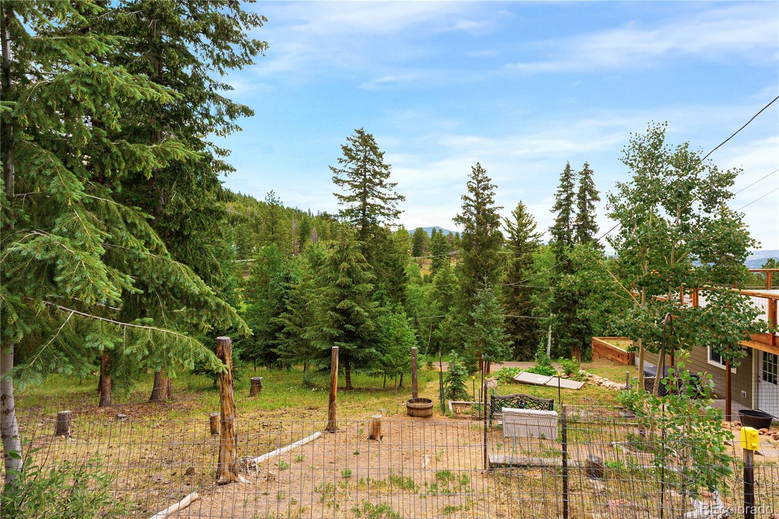 6773 Snowshoe Trail Evergreen CO 80439