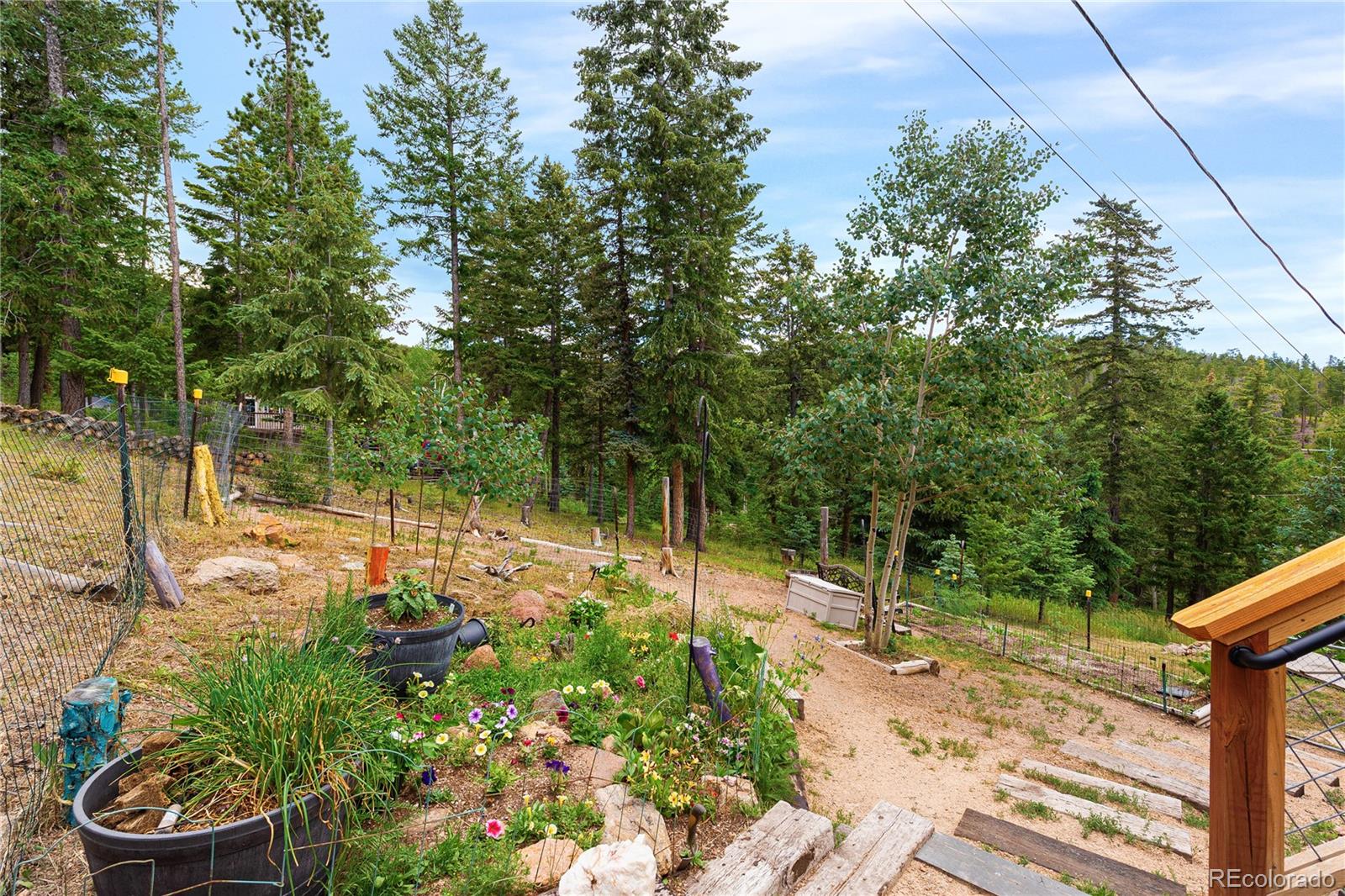 6773 Snowshoe Trail Evergreen CO 80439