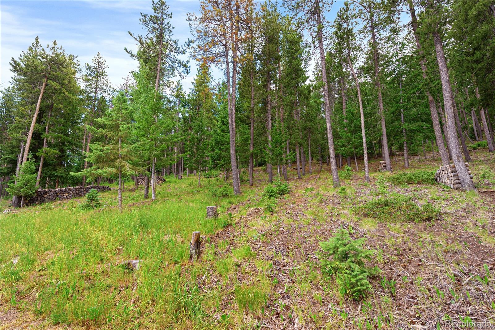 6773 Snowshoe Trail Evergreen CO 80439