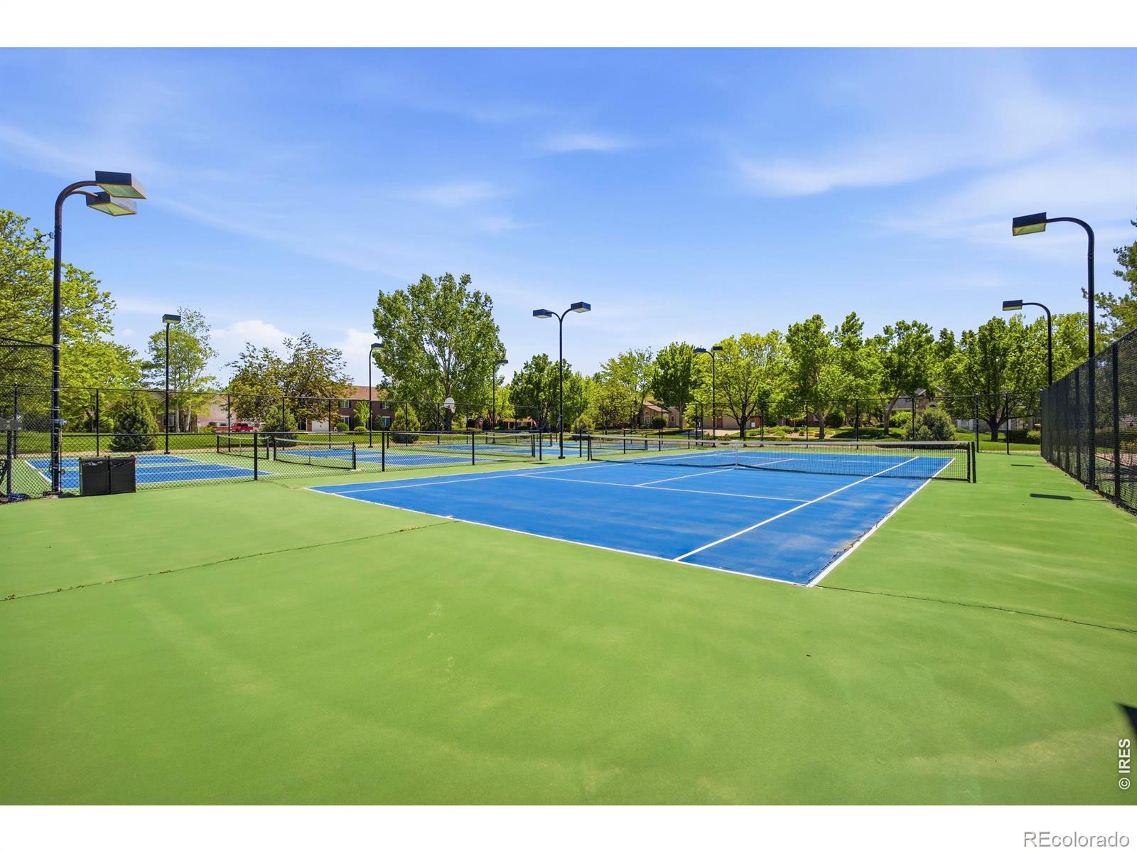 1476 Jamie Court Loveland CO 80537