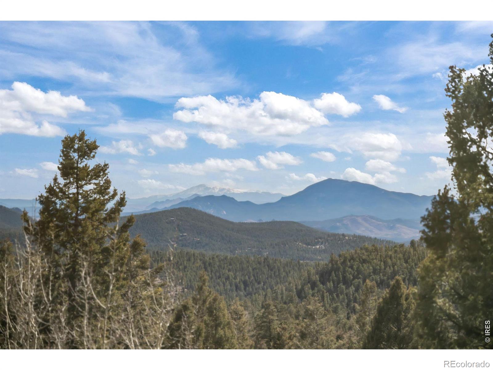 31468 Kings Valley W Conifer CO 80433