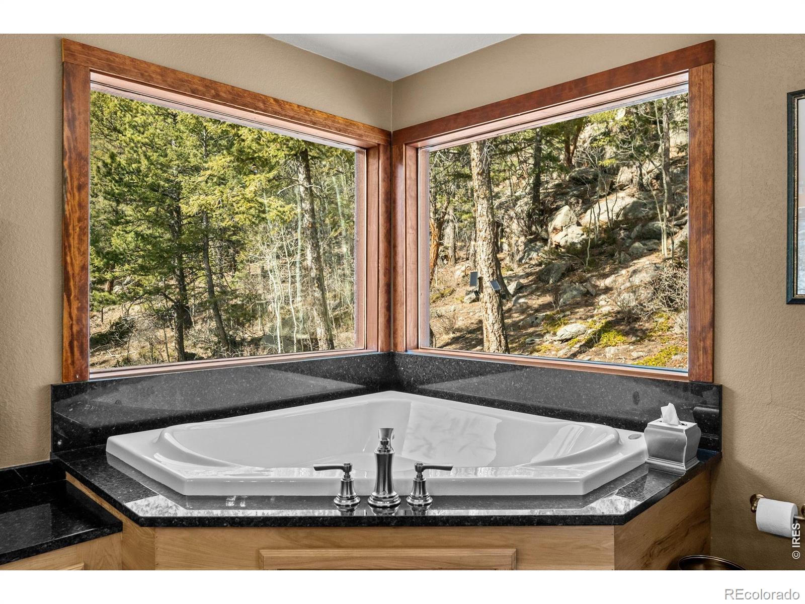 31468 Kings Valley W Conifer CO 80433