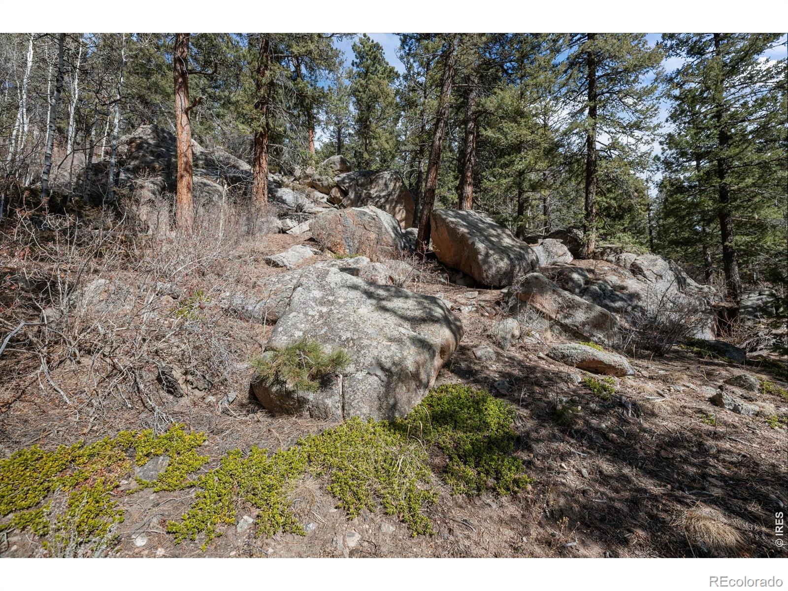 31468 Kings Valley W Conifer CO 80433