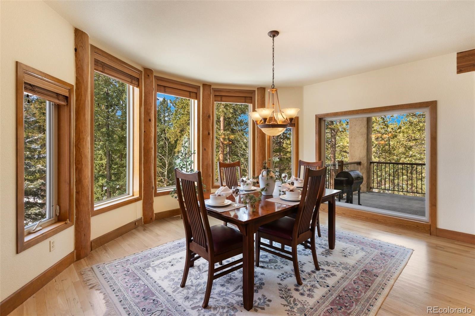 775 Skyline Drive Woodland Park CO 80863