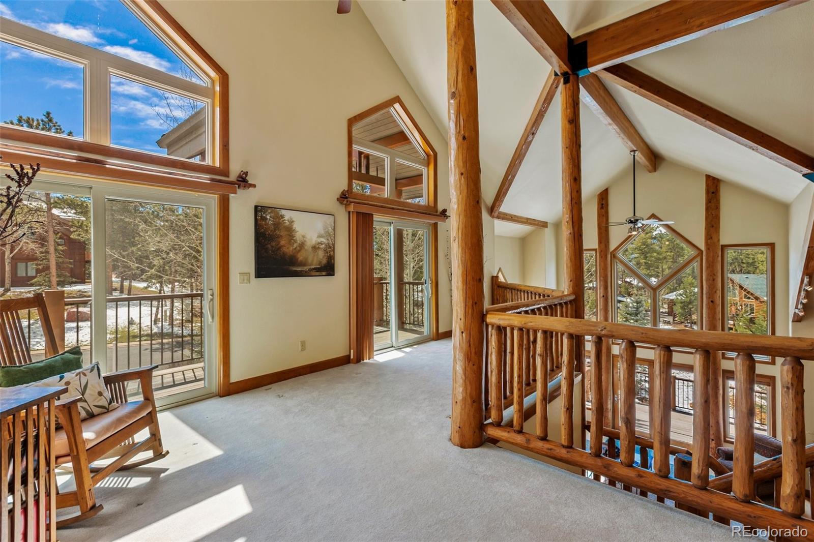 775 Skyline Drive Woodland Park CO 80863