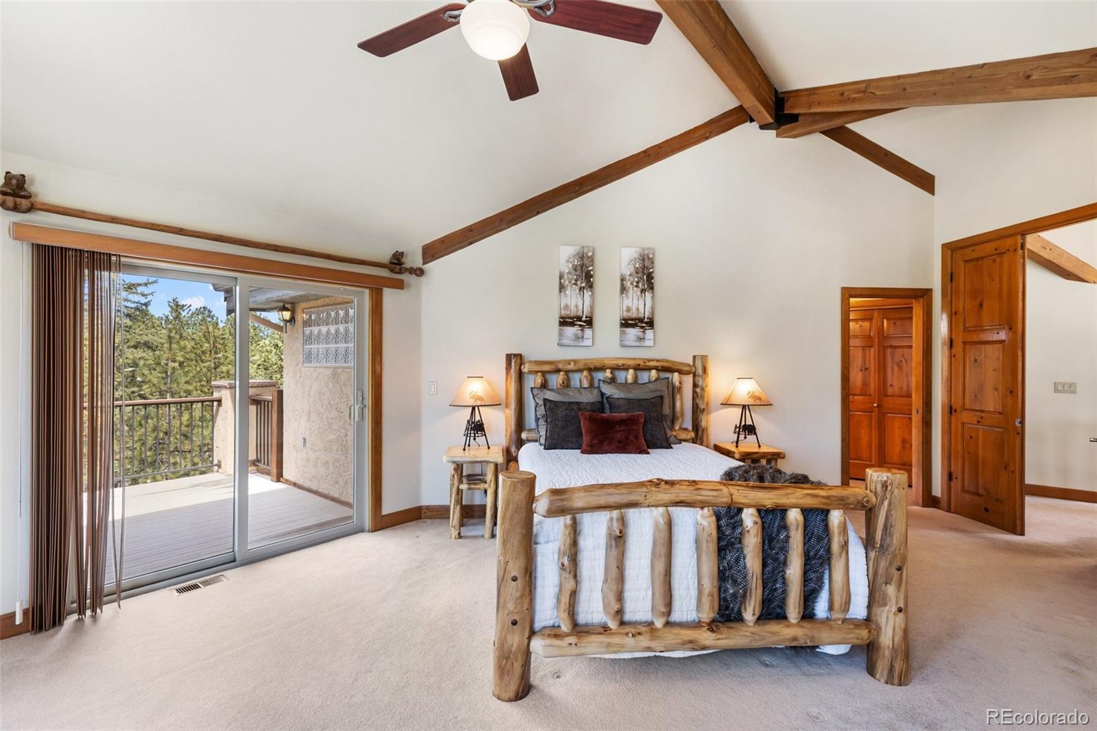 775 Skyline Drive Woodland Park CO 80863