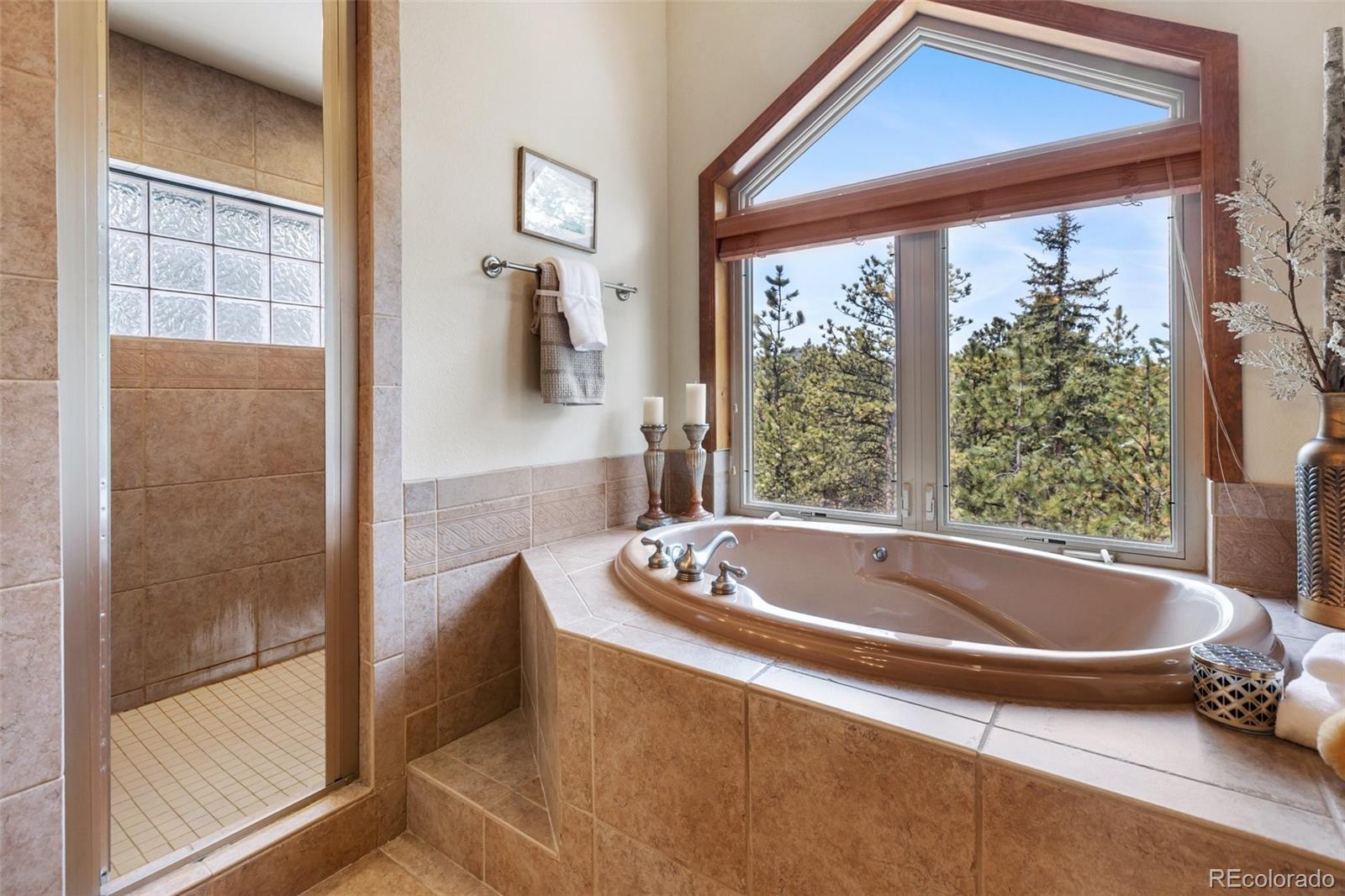 775 Skyline Drive Woodland Park CO 80863