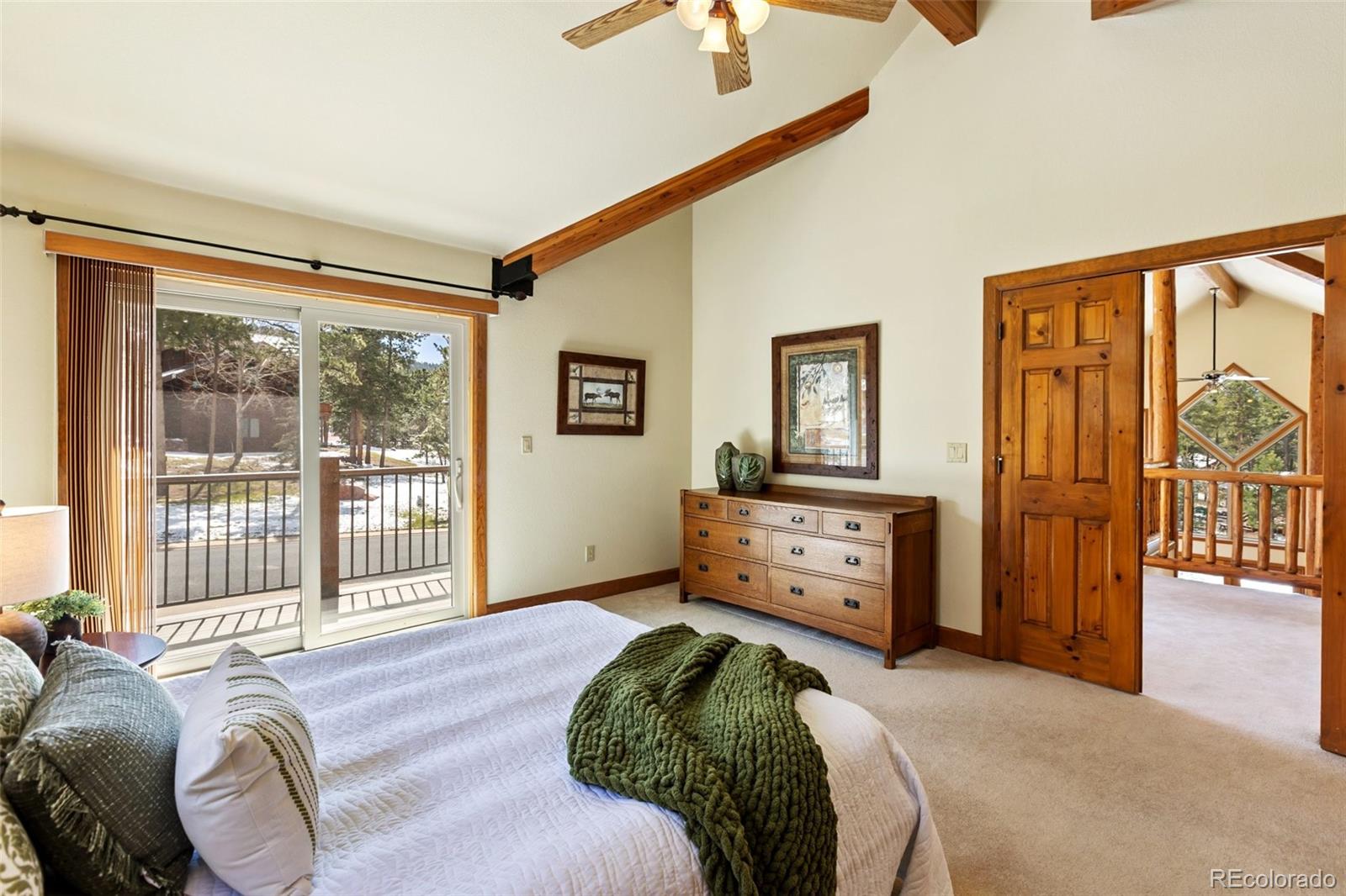 775 Skyline Drive Woodland Park CO 80863