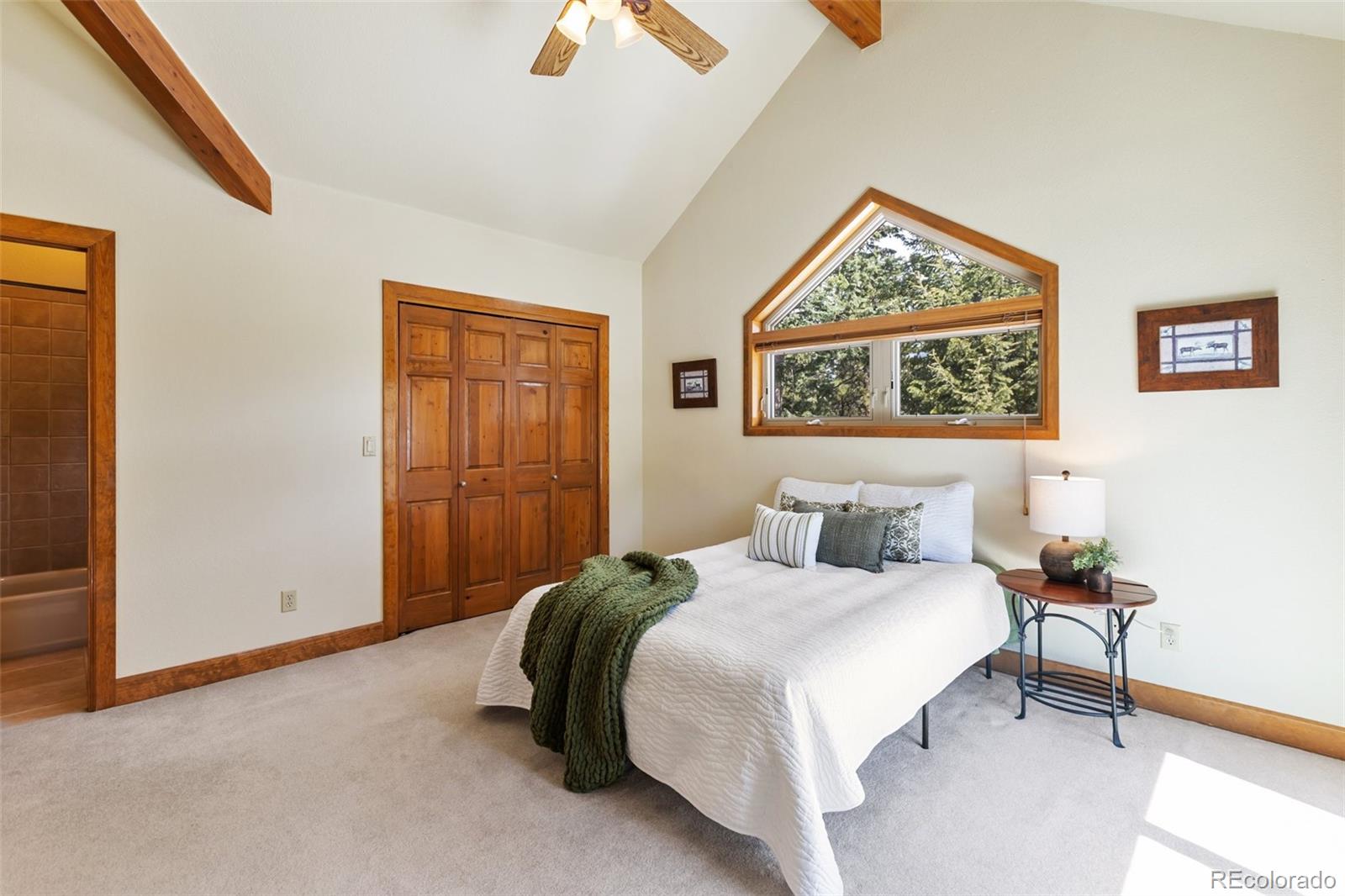 775 Skyline Drive Woodland Park CO 80863