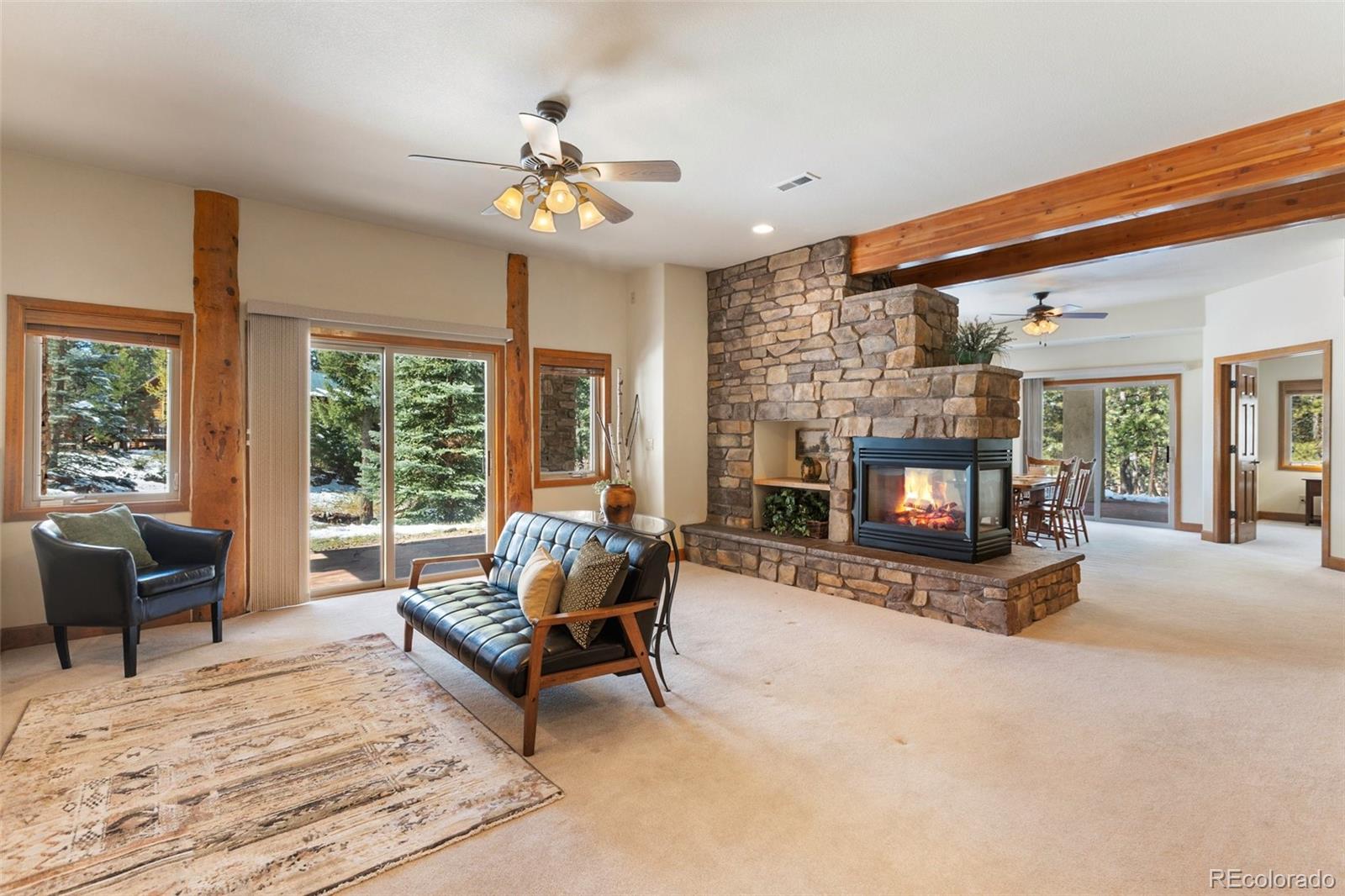 775 Skyline Drive Woodland Park CO 80863