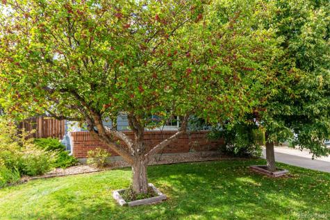 22040 E Princeton Circle Aurora CO 80018