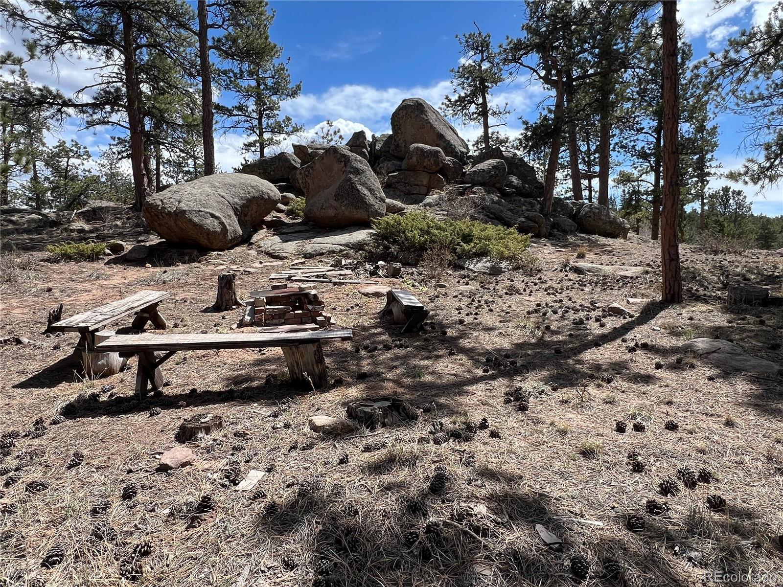 90 Letitia Drive Red Feather Lakes CO 80545