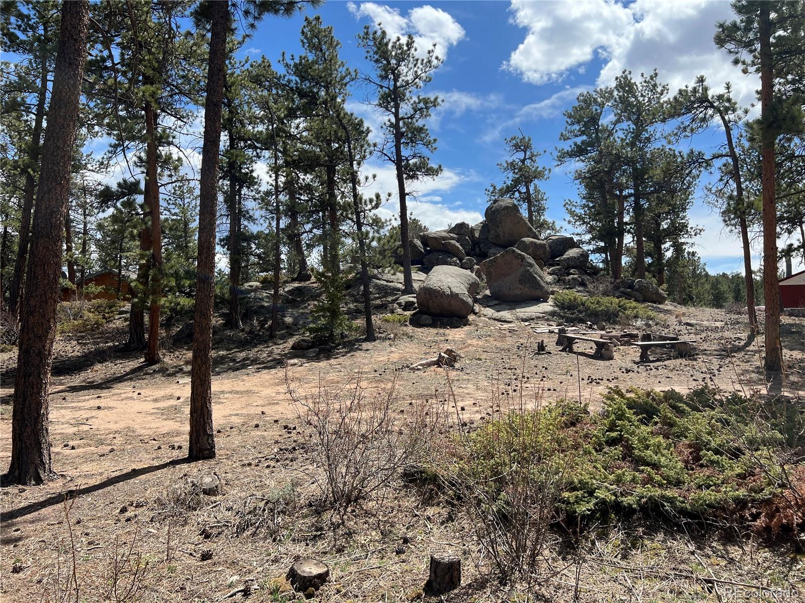 90 Letitia Drive Red Feather Lakes CO 80545