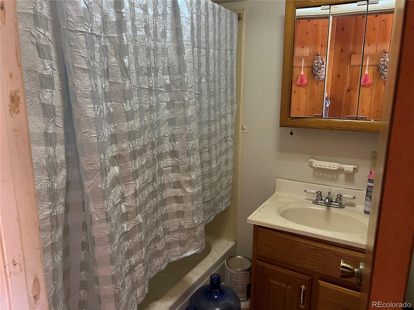 90 Letitia Drive Red Feather Lakes CO 80545