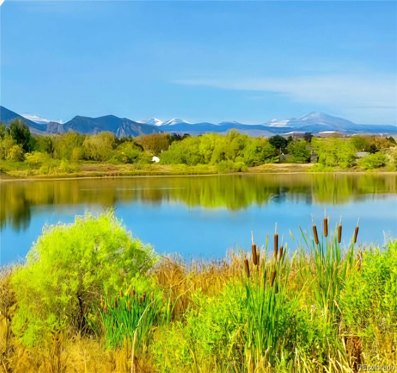 10454 Nelson Street Broomfield CO 80021
