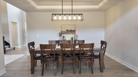 5411 Edenborn Way Castle Rock CO 80104