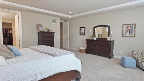 5411 Edenborn Way Castle Rock CO 80104