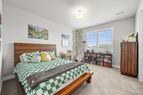5411 Edenborn Way Castle Rock CO 80104