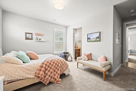 5411 Edenborn Way Castle Rock CO 80104