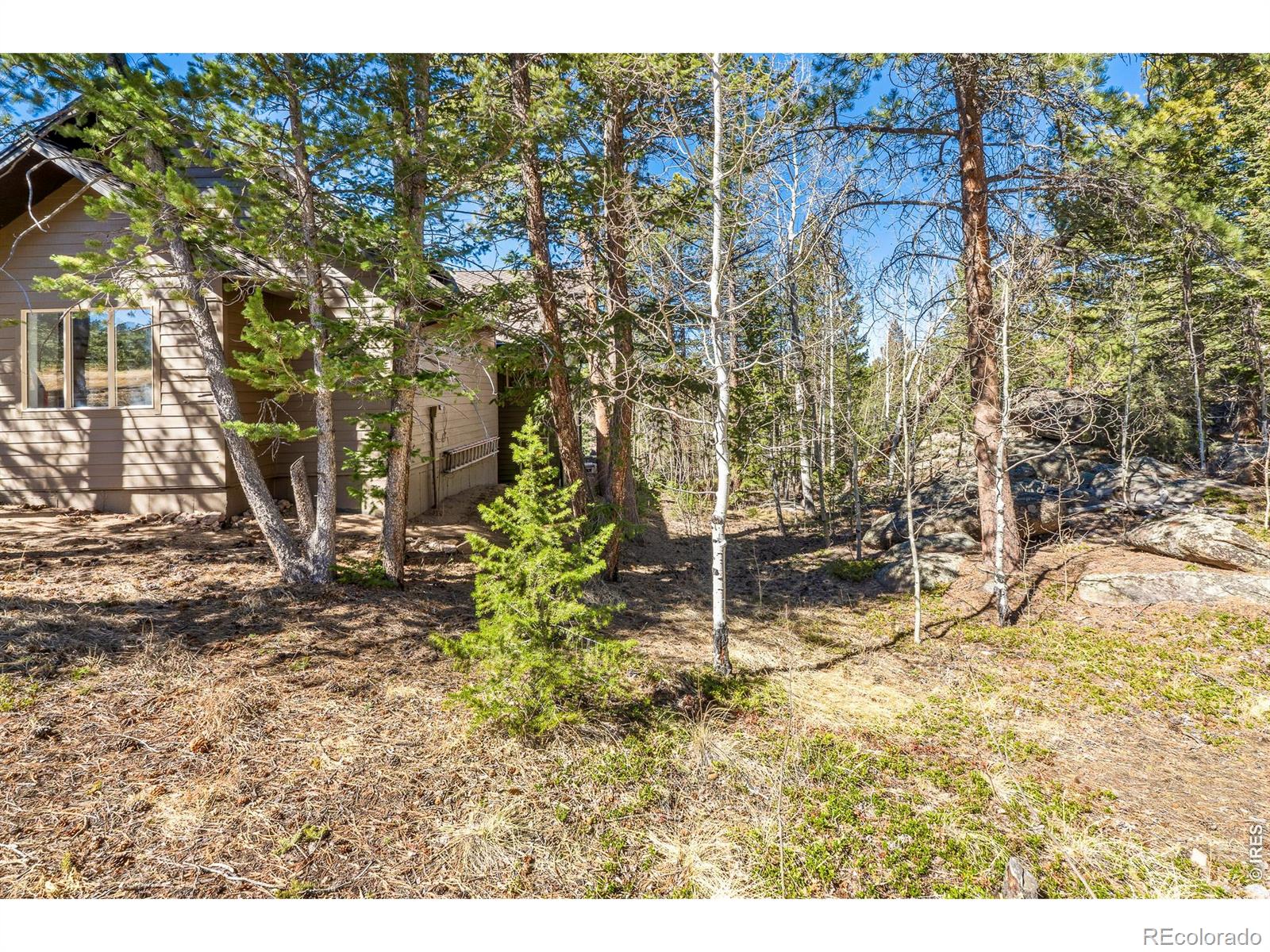 2690 Fox Acres Drive E Red Feather Lakes CO 80545