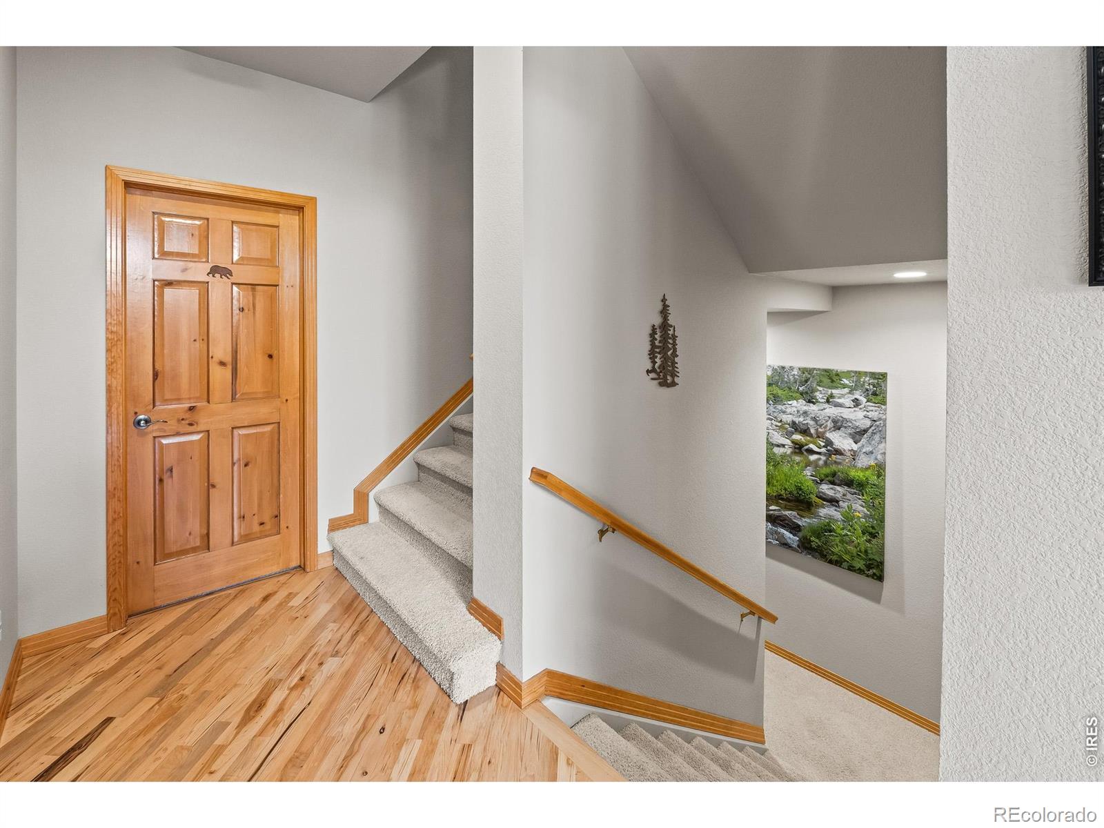 2690 Fox Acres Drive E Red Feather Lakes CO 80545