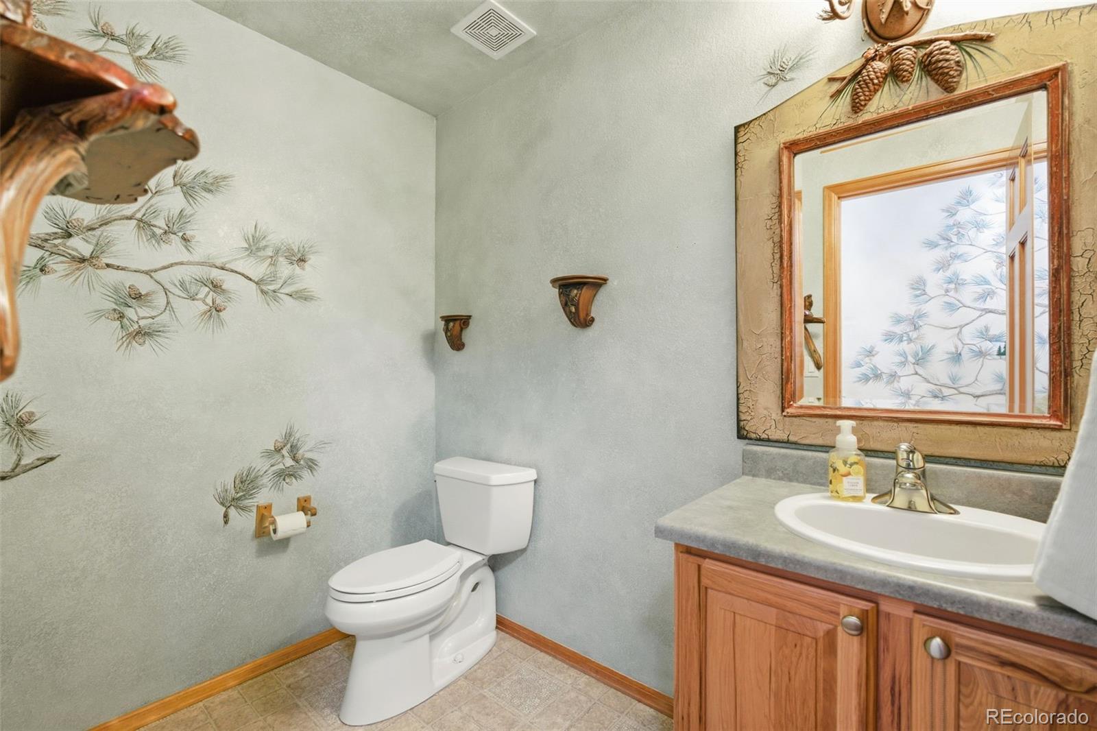 1603 Rosemary Court Castle Rock CO 80109