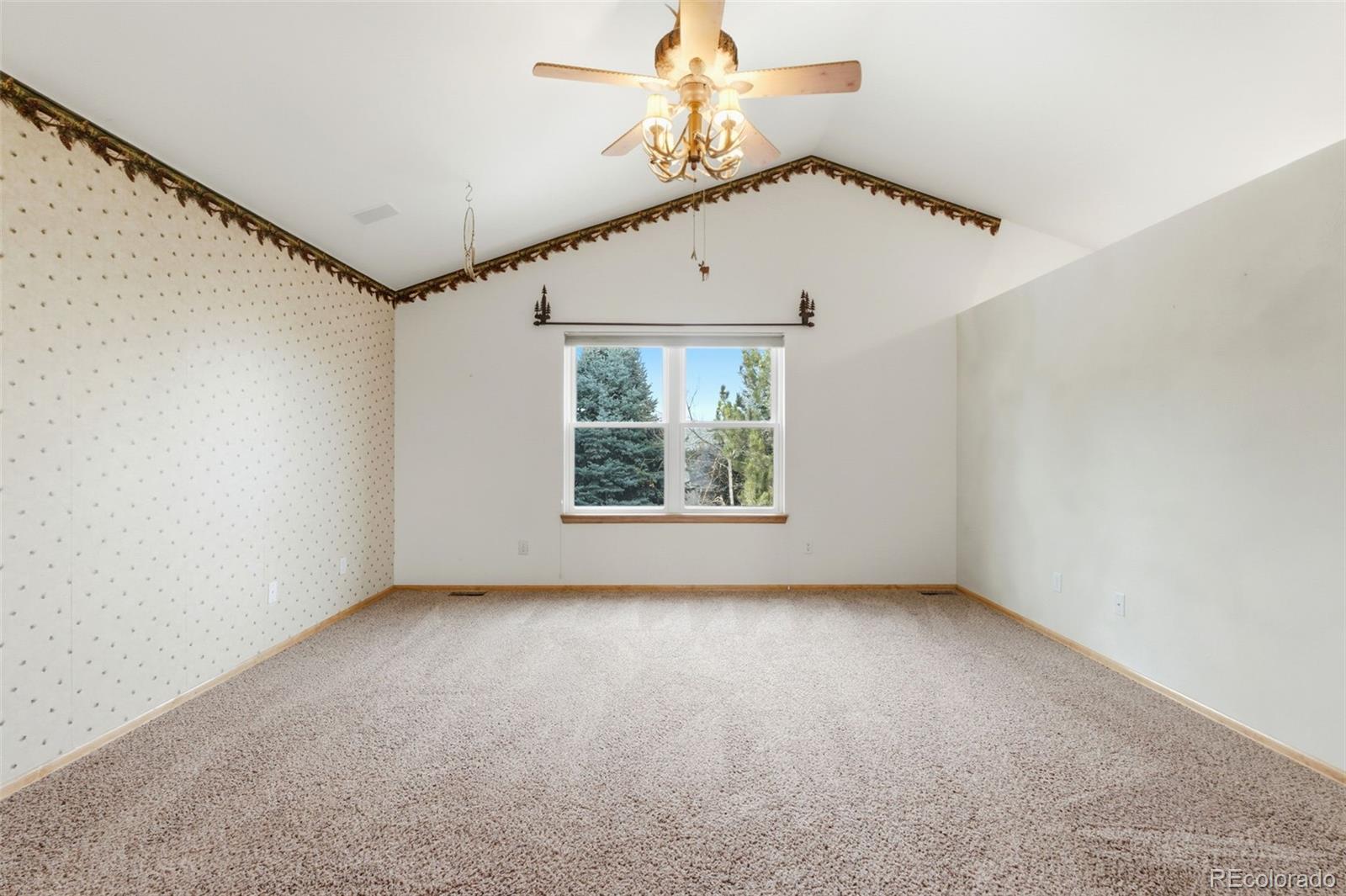 1603 Rosemary Court Castle Rock CO 80109