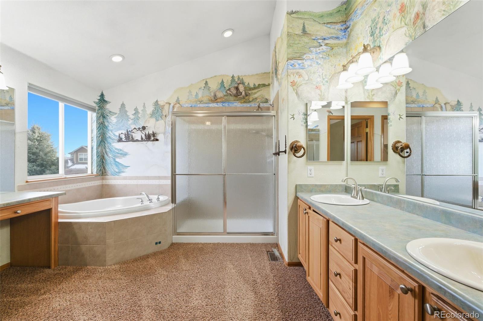 1603 Rosemary Court Castle Rock CO 80109